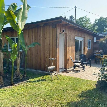 Gite Vogelau Schiltigheim Extérieur photo