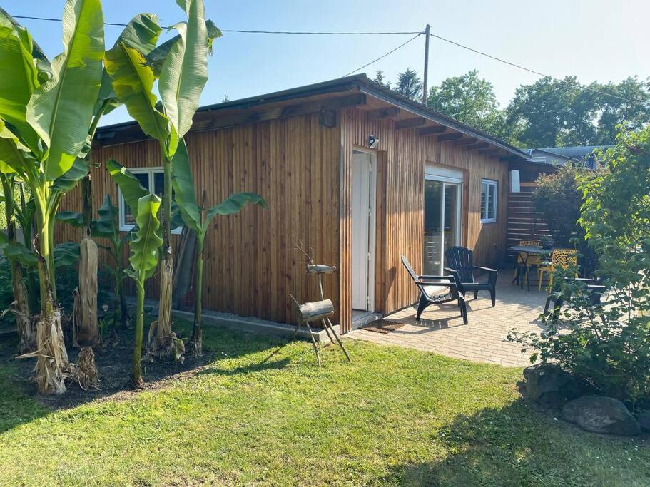 Gite Vogelau Schiltigheim Extérieur photo